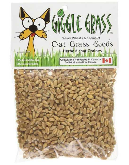 Giggle Grass Oat Seeds 125g