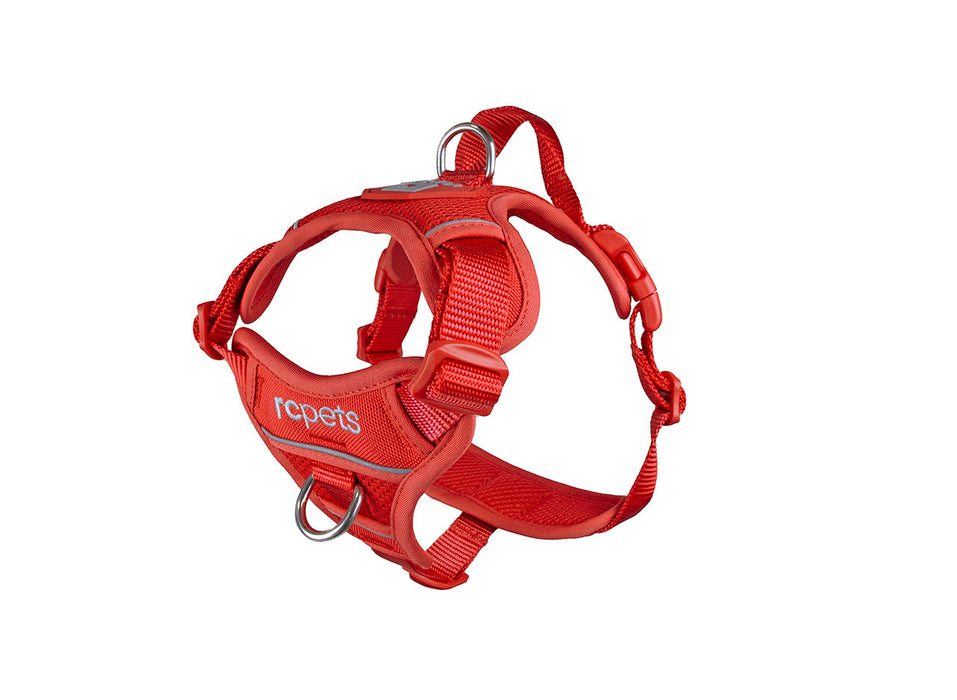 RC Momentum Harness Goji Berry Lrg