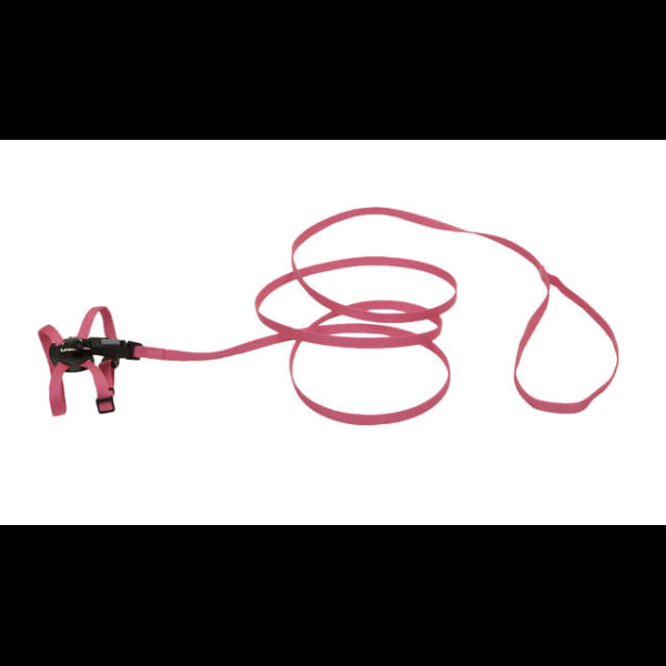 Lil Pals Harness & Leashes for Kittens Neon Pink