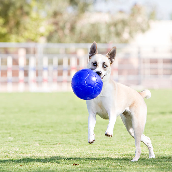 Jolly Soccer Ball Asst. 4"