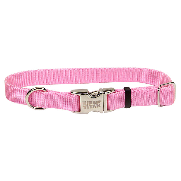 Titan Collar Metal Buckle Pink 20x1" Med