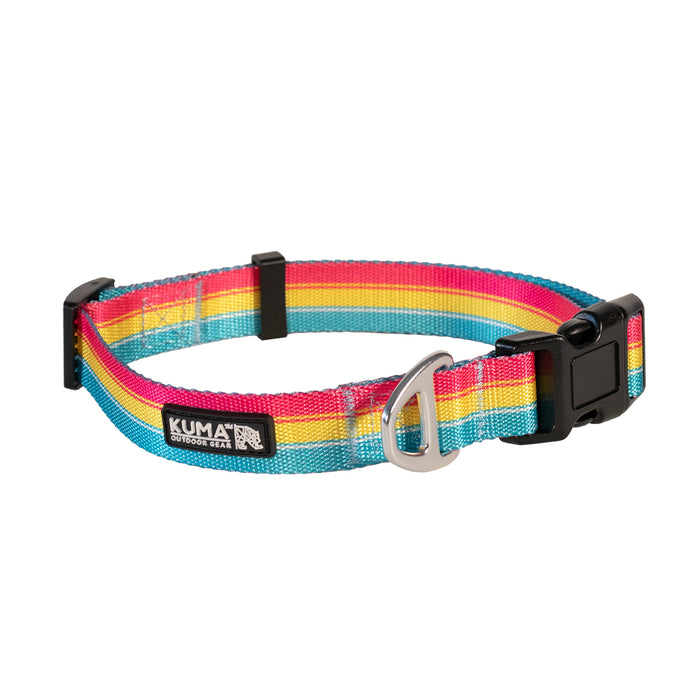 Kuma Backtrack Dog Collar Med Lollipop Yellow/Pink/Teal