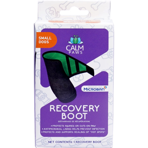 CP Recovery Boot Sml