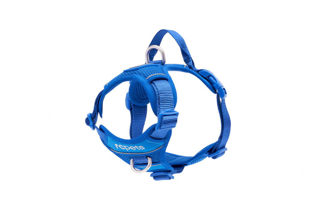 RC Momentum Harness Sapphire Sml