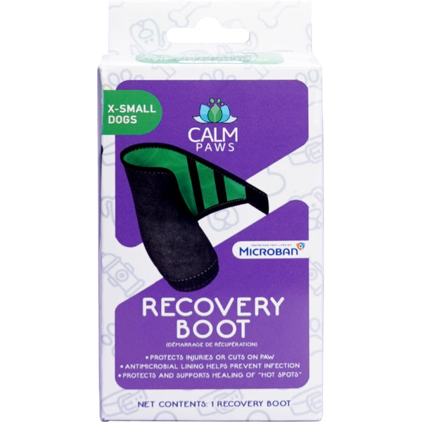 CP Recovery Boot XSml