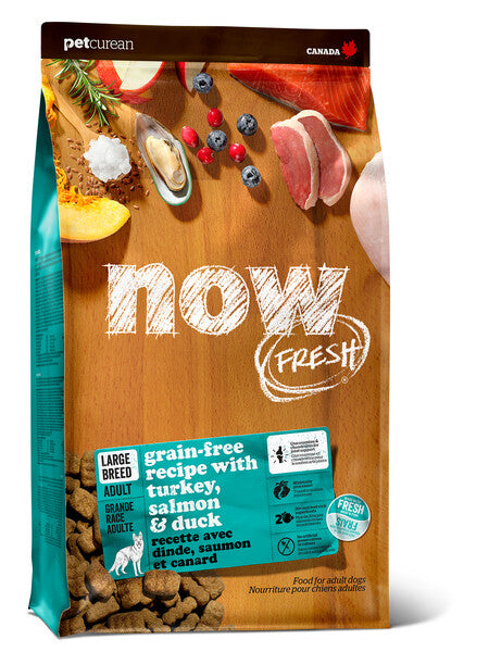 Now Fresh Grain Free Large Breed Adult 25lbs